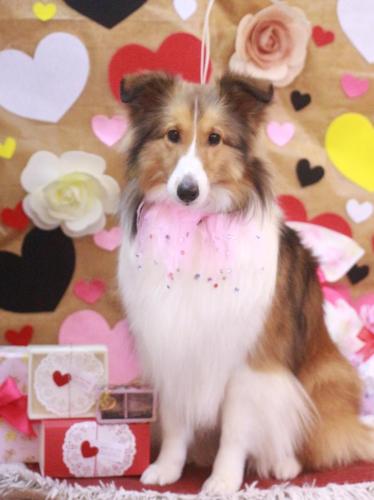 20230201ティーラちゃん